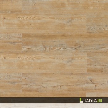 Напольная пробка Arcadian Soya Pine