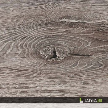 Ламинат FloorWood Дуб Вирджиния 019 LP
