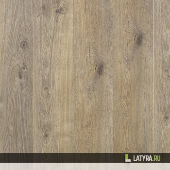 Ламинат Tarkett Holiday 832 Дуб Фрайдэй