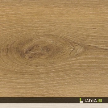 Ламинат Floorwood Дуб натуральный F450