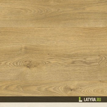 Ламинат Maestro Club Дуб Шинон
