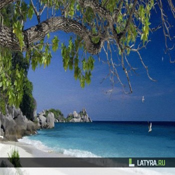 Фартук кухонный Остров