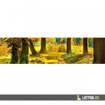 Интерьерная панель ХДФ Элит Осенний лес 2440х610х3 мм
