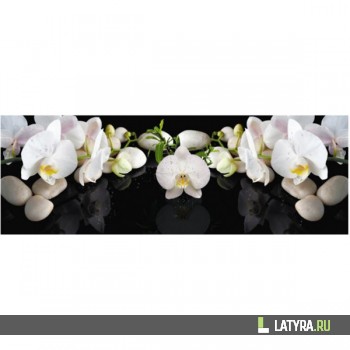 Фартук цветной ХДФ Апласт Белая орхидея 2070х695х3 мм