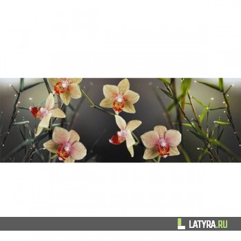 Фартук цветной ХДФ Апласт Орхидеи 2070х695х3 мм
