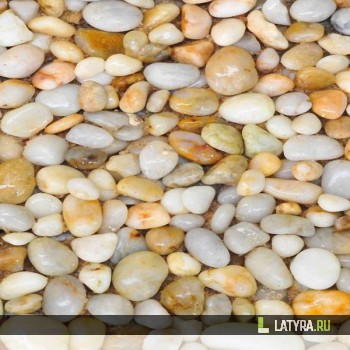 Панель ПВХ Апласт термопереводная 365