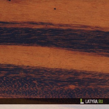 Плинтус Pedross Тигровое дерево