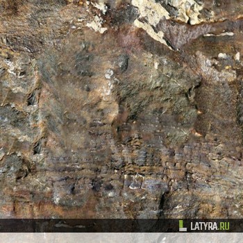 Напольная пробка Fossil (клеевая)