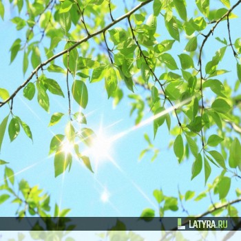 Потолок ПВХ Апласт Анэт 2000х2000х9 мм