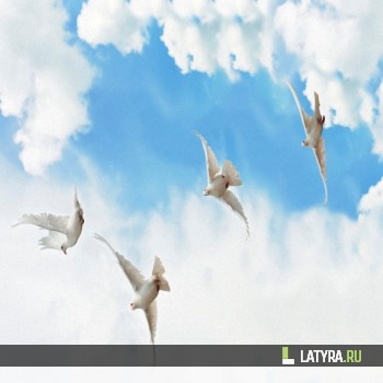 Потолок ПВХ Апласт Высота 2000х2000х9 мм