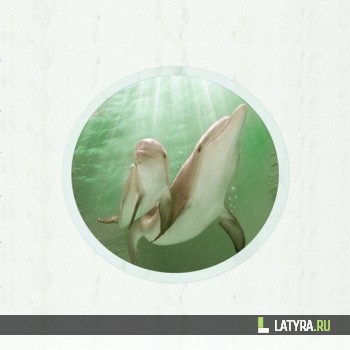 Потолок ПВХ Апласт Зеленый океан 2000х2000х9 мм