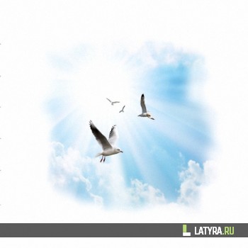 Потолок ПВХ Апласт Чайки 2000х2000х9 мм