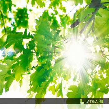 Потолок ПВХ Апласт Летний день 1800х1500х9 мм