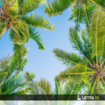 Потолок ПВХ Апласт Южный полдень 1800х1500х9 мм