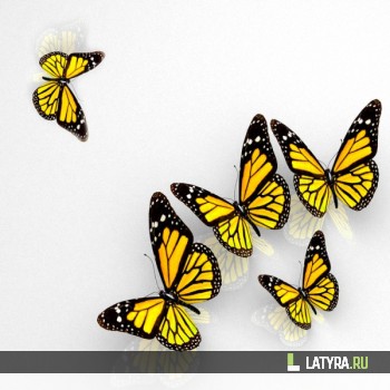 Потолок ПВХ Апласт Бабочка 1800х1500х9 мм