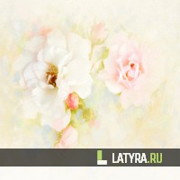 Потолок ПВХ Апласт Акварель роза 2500х2000х9 мм