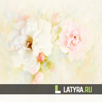 Потолок ПВХ Апласт Акварель роза 1800х1500х9 мм