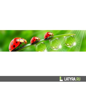 Интерьерная панель ХДФ Элит Божья коровка 2440х610х3 мм