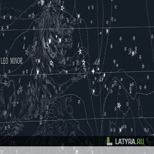 Напольная пробка Stars Black (замковая)