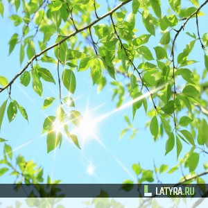 Потолок ПВХ Апласт Анэт 2000х2000х9 мм