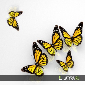 Потолок ПВХ Апласт Бабочка 2000х2000х9 мм